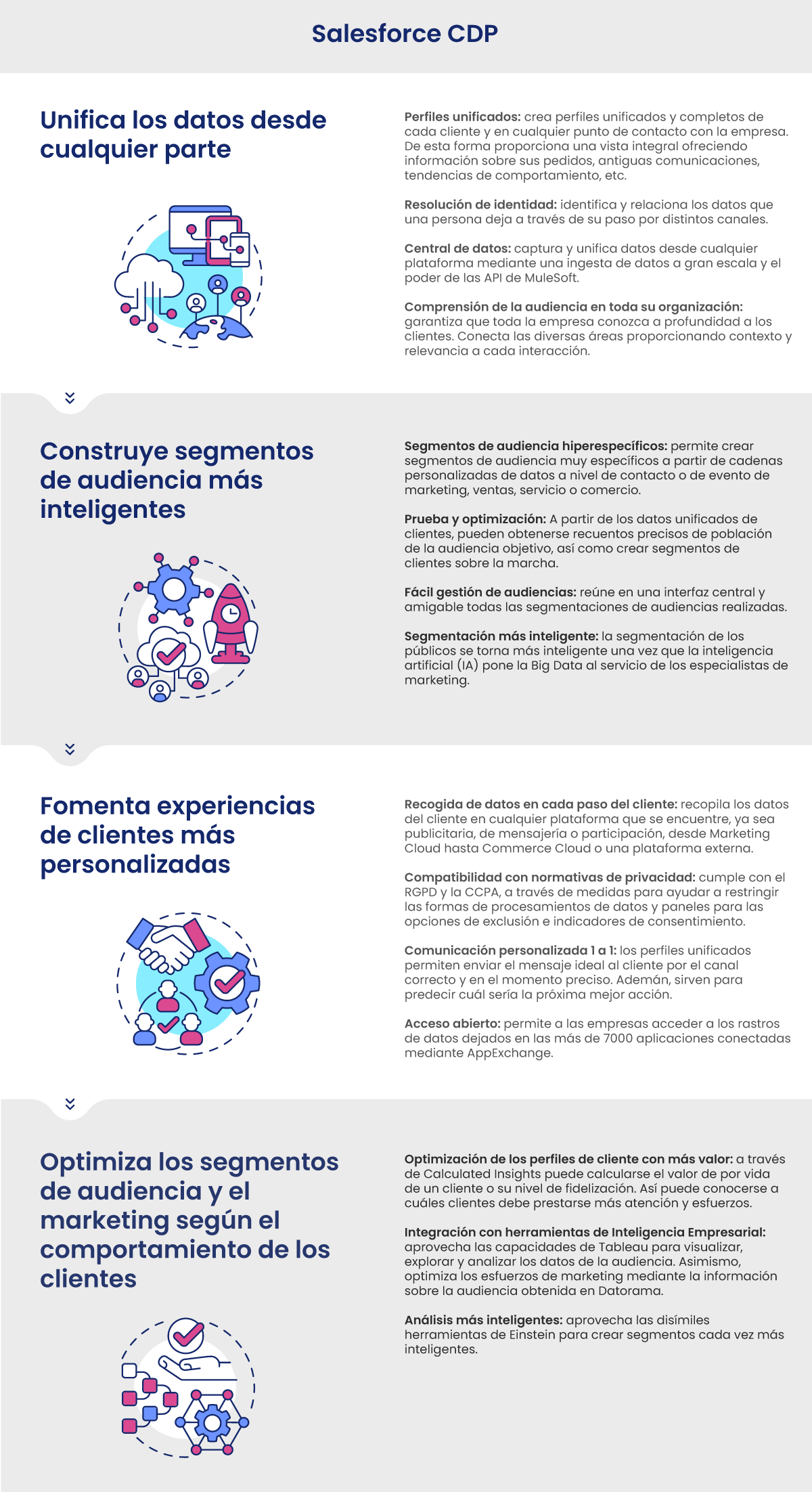 Salesforce CDP salesforce-cdp-caracteristicas
